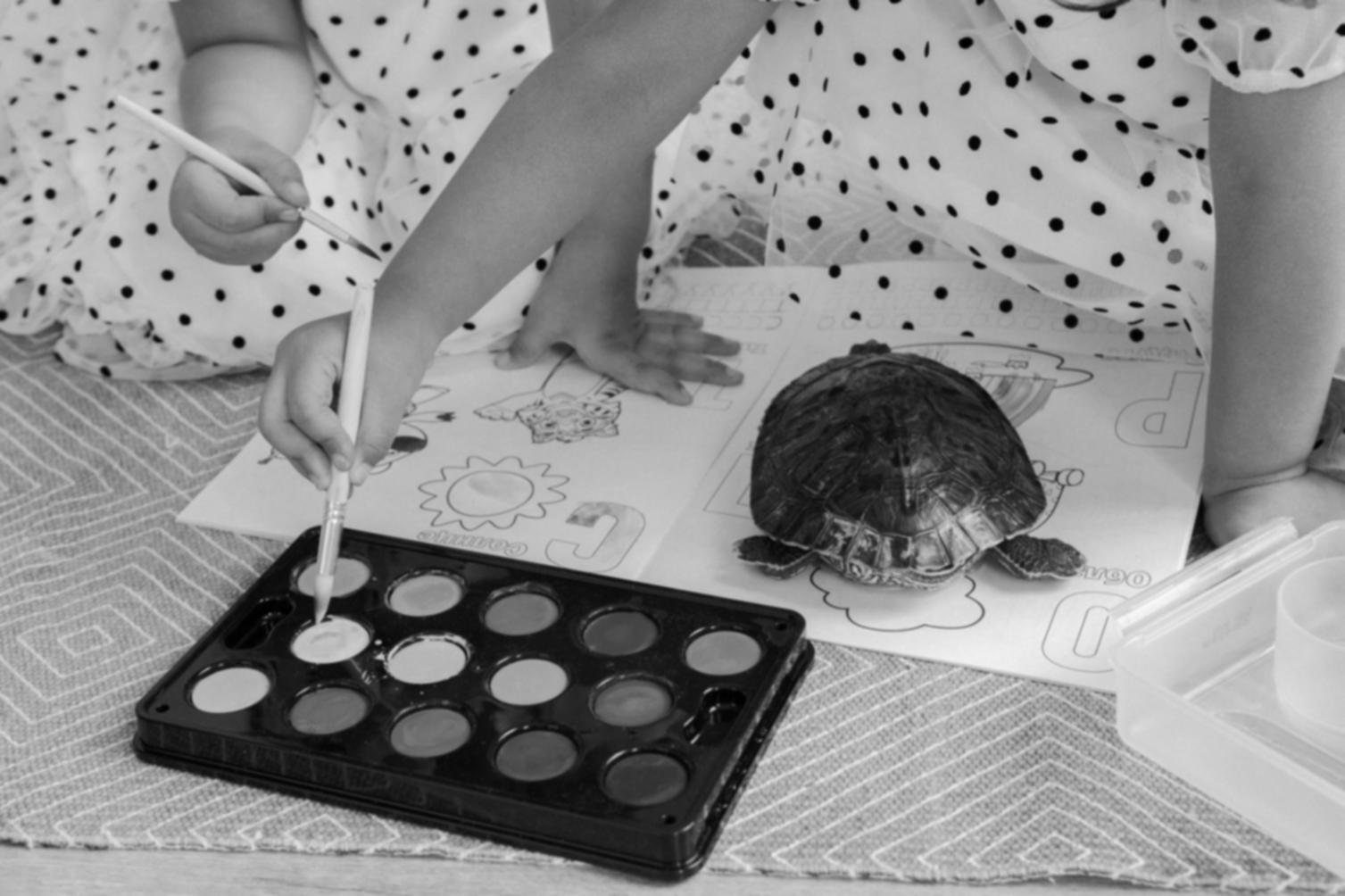 Inspiration und Kreativität im Atelier - Aquarellbilder und Materialien